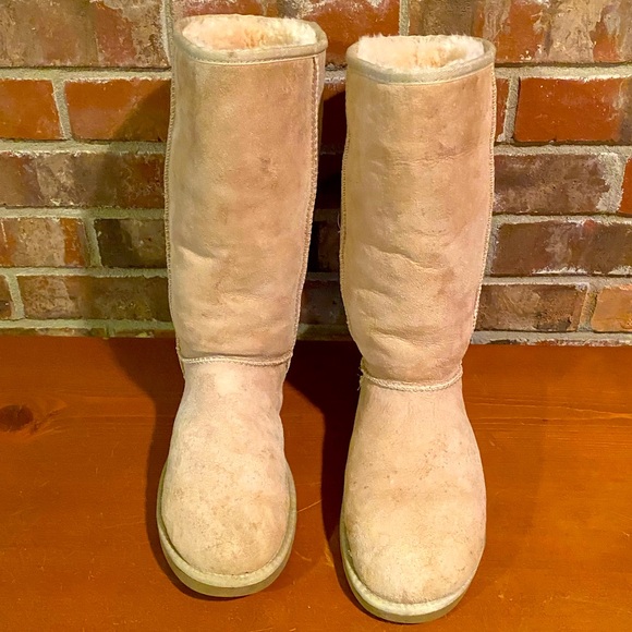 UGG CLASSIC TALL - Picture 3 of 8